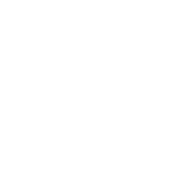 Nova Omega Merch