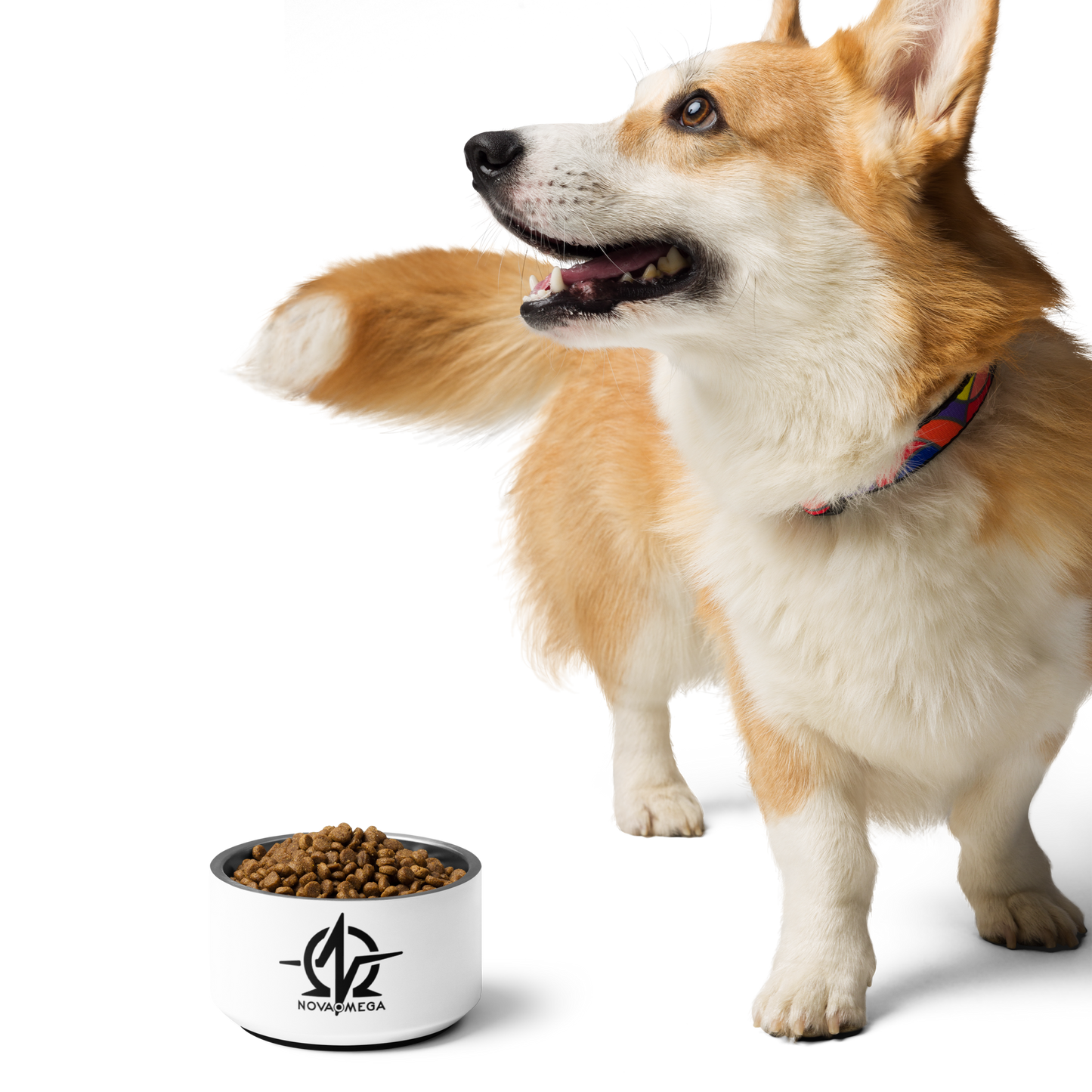 Pet bowl
