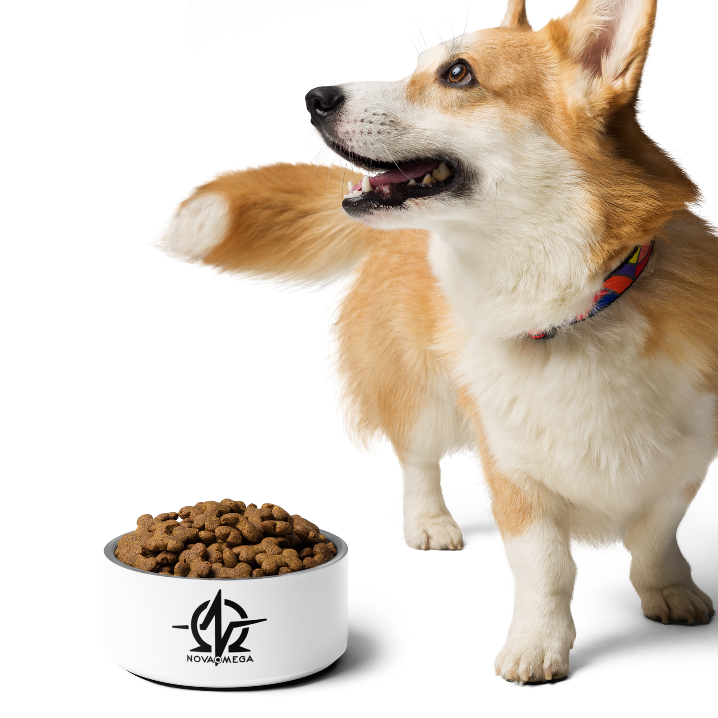 Pet bowl
