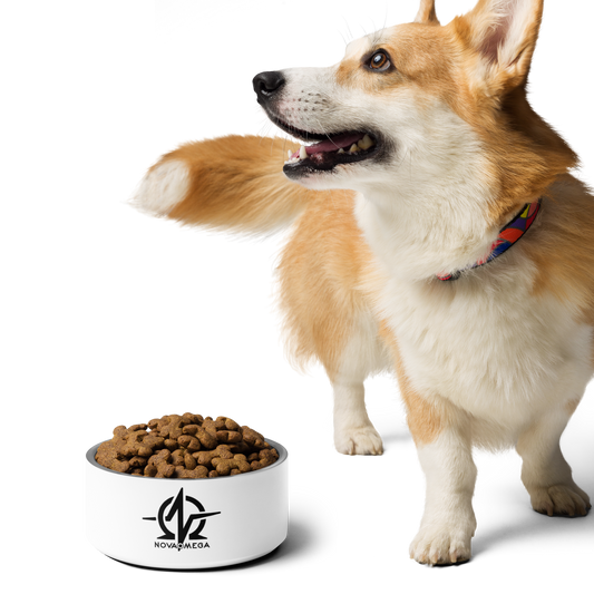 Pet bowl